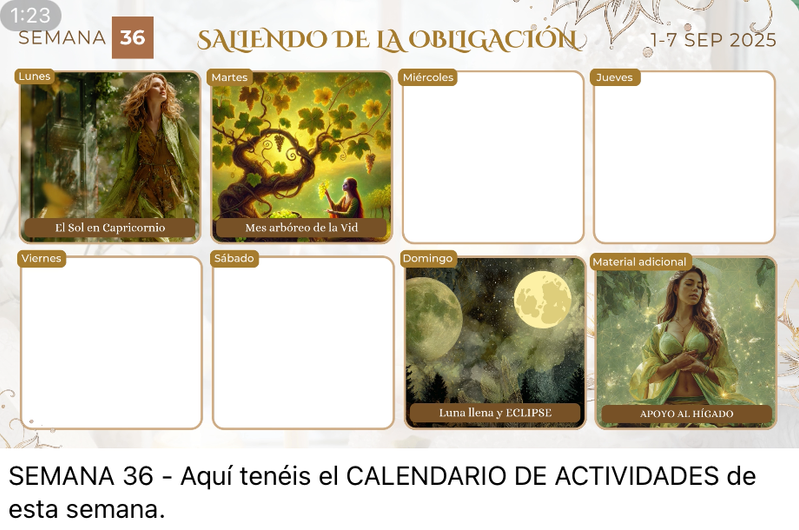 Calendario de actividades