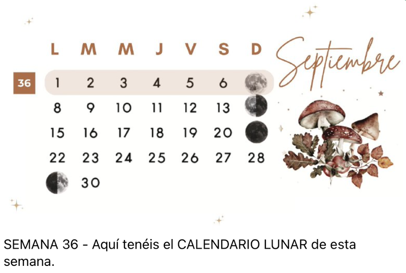 Calendario lunar